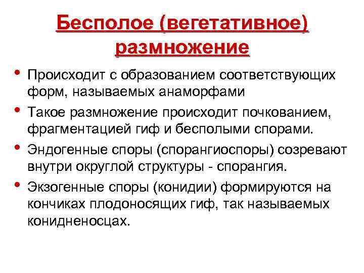  Бесполое (вегетативное) размножение • Происходит с образованием соответствующих форм, называемых анаморфами • Такое