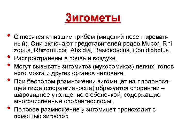  3 игометы • Относятся к низшим грибам (мицелий несептирован- ный). Они включают представителей