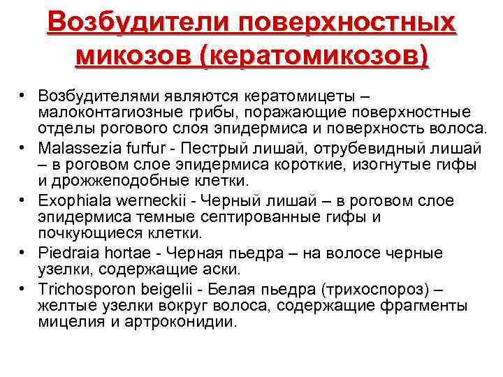  Возбудители поверхностных микозов (кератомикозов) • Возбудителями являются кератомицеты – малоконтагиозные грибы, поражающие поверхностные