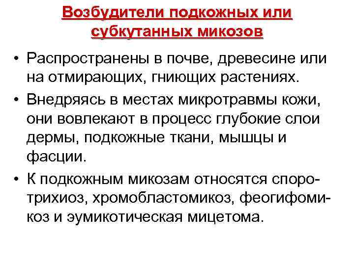  Возбудители подкожных или субкутанных микозов • Распространены в почве, древесине или на отмирающих,