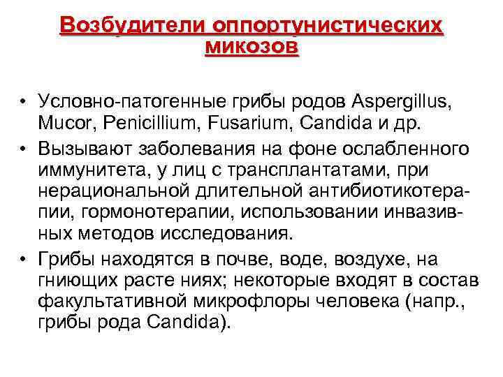  Возбудители оппортунистических микозов • Условно-патогенные грибы родов Аspergillus, Mucor, Penicillium, Fusarium, Candida и