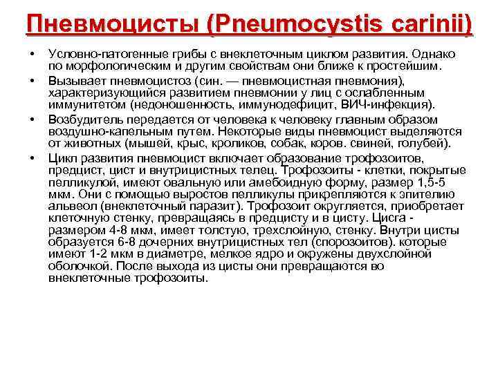 Пневмоцисты (Pneumocystis carinii) • Условно-патогенные грибы с внеклеточным циклом развития. Однако по морфологическим и