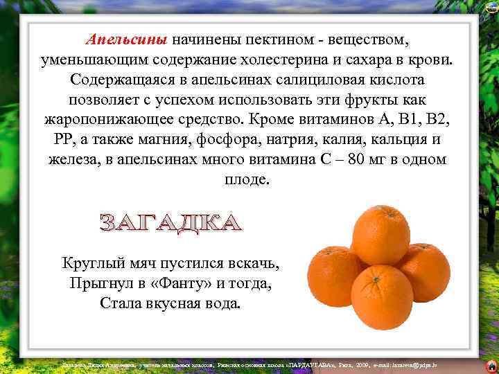  Апельсины начинены пектином - веществом, уменьшающим содержание холестерина и сахара в крови. Содержащаяся