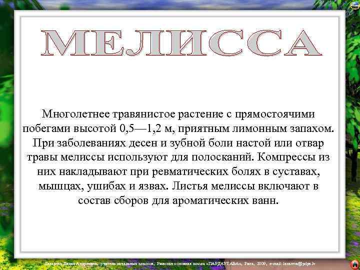   Многолетнее травянистое растение с прямостоячими побегами высотой 0, 5— 1, 2 м,