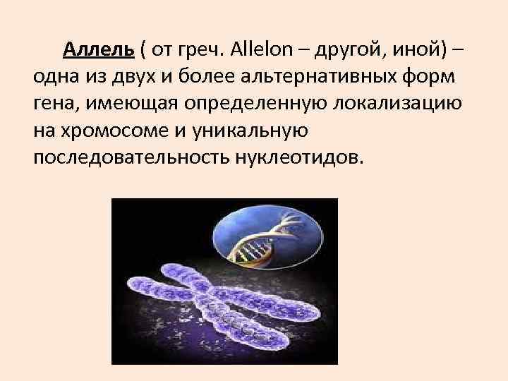 Аллель это в генетике. Аллель. Аллель это в биологии. Аллели в хромосомах.