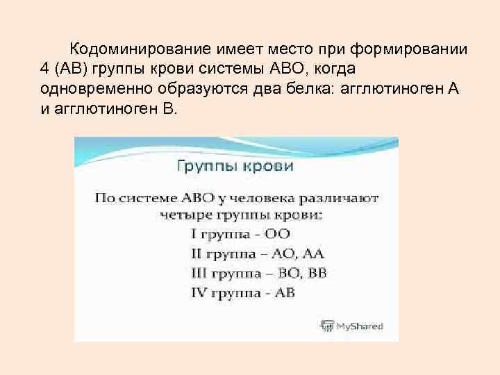 Презентация кодоминирование 10 класс