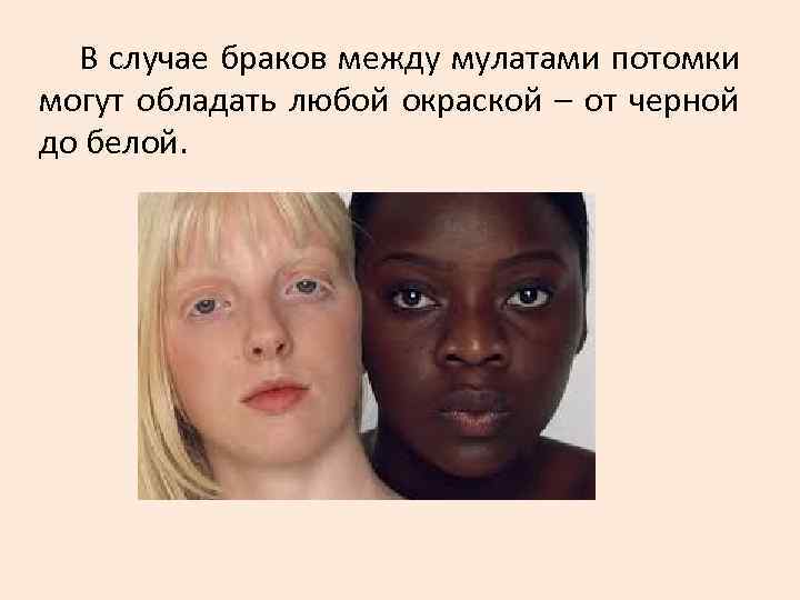 В случае браков между мулатами потомки могут обладать любой окраской – от черной В случае браков между мулатами потомки могут обладать любой окраской – от черной