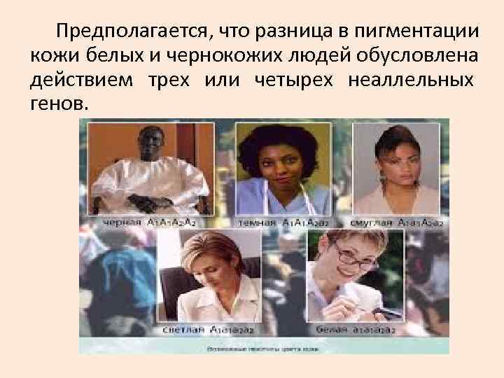 Предполагается, что разница в пигментации кожи белых и чернокожих людей обусловлена действием Предполагается, что разница в пигментации кожи белых и чернокожих людей обусловлена действием