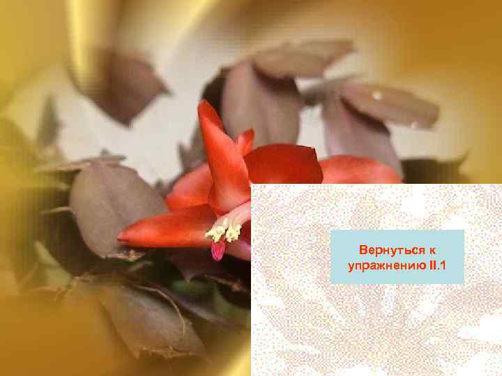  Вернуться к упражнению II. 1 