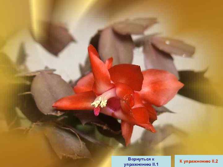  Вернуться к К упражнению II. 2 упражнению II. 1 
