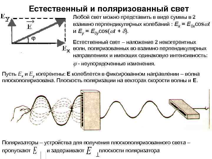  Естественный и поляризованный свет Любой свет можно представить в виде суммы в 2