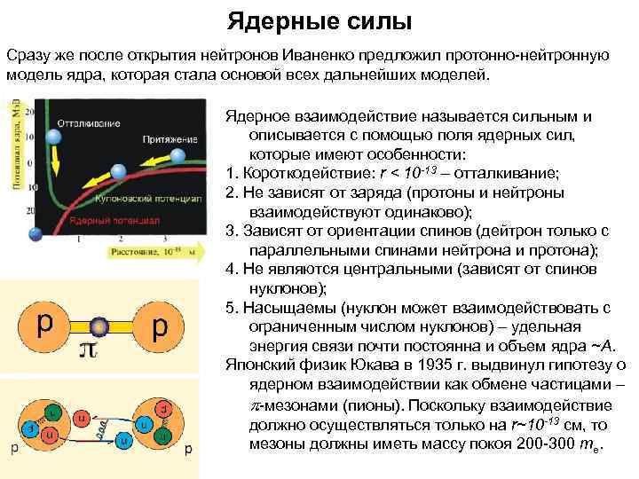  Ядерные силы Сразу же после открытия нейтронов Иваненко предложил протонно-нейтронную модель ядра, которая