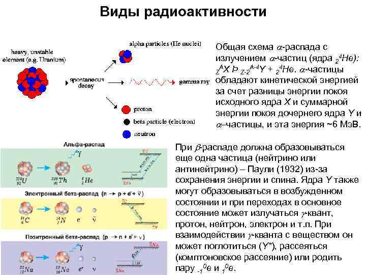 Процесс распада нейтрона. Гамма Квант. Распад элементарных частиц. Отличие нейтрона от нейтрино. Гамма частица это в физике.