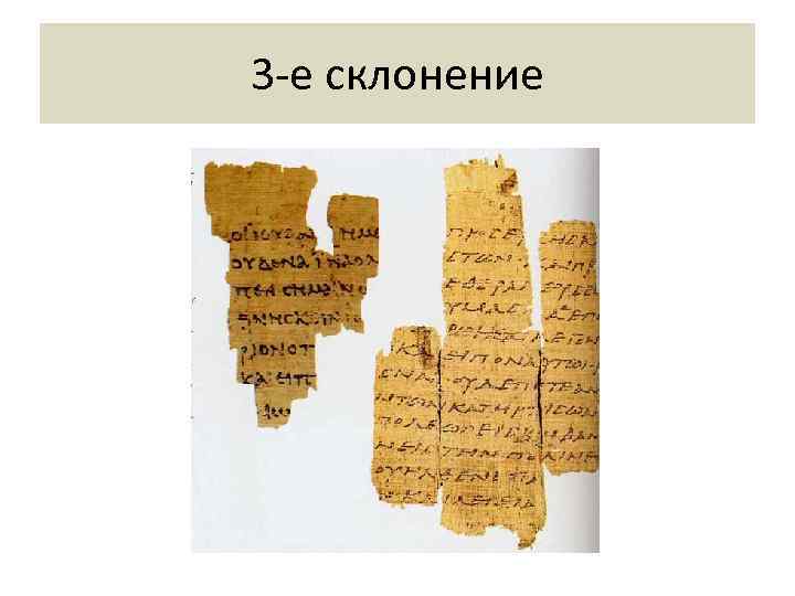 3 -е склонение 