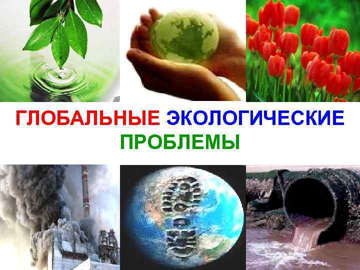 3 глобальные экологические проблемы. Глобальные эколгически епроблемы. Глобальные проблемы экологии. Глабальная экологические проблемы. Глобальныеэкологиечские проблемы.
