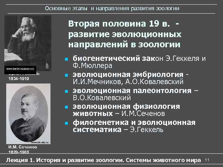 Основные этапы и направления развития зоологии Основные этапы и направления развития зоологии
