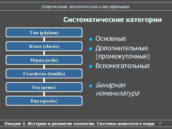 Составьте схему положения человека согласно критериям зоологической систематики