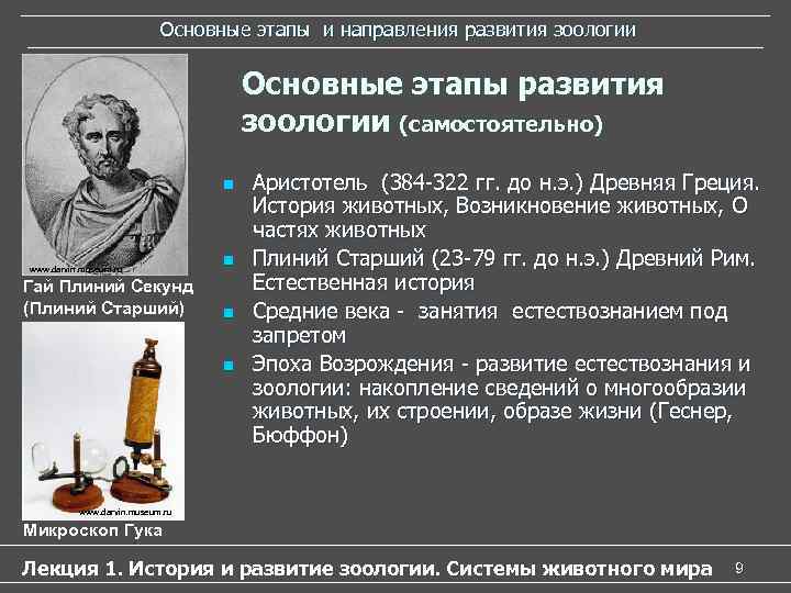 Основные этапы и направления развития зоологии Основные этапы и направления развития зоологии