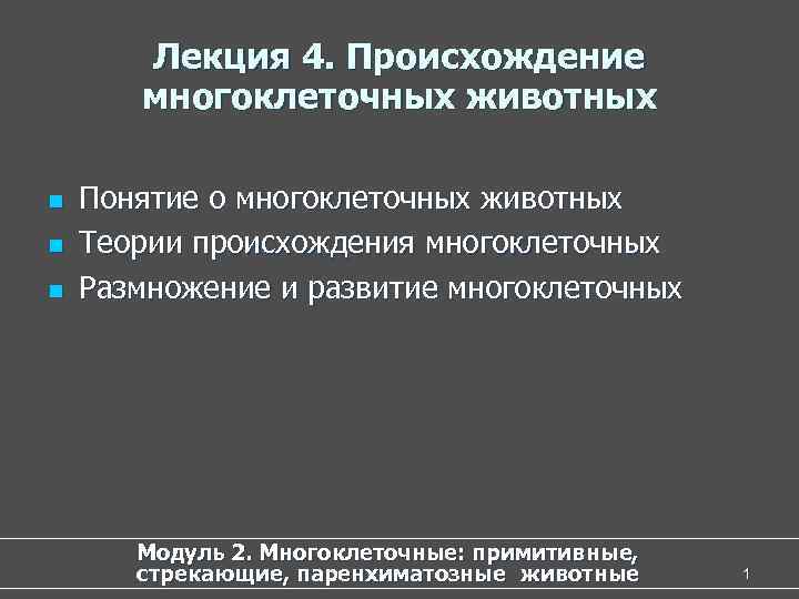 Лекция 4. Происхождение многоклеточных животных n Понятие о многоклеточных животных Лекция 4. Происхождение многоклеточных животных n Понятие о многоклеточных животных