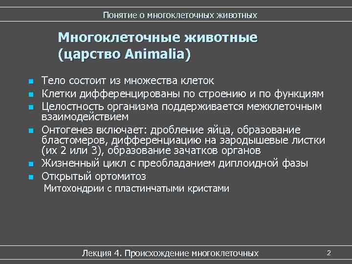 Понятие о многоклеточных животных Многоклеточные животные (царство Animalia) Понятие о многоклеточных животных Многоклеточные животные (царство Animalia)