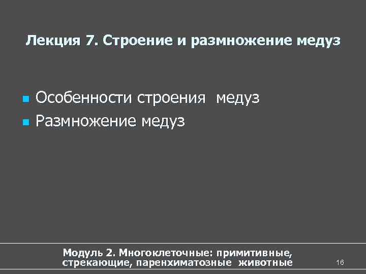 Лекция 7. Строение и размножение медуз n Особенности строения медуз n Размножение медуз Модуль