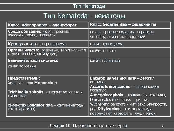       Тип Нематоды     Тип Nematoda