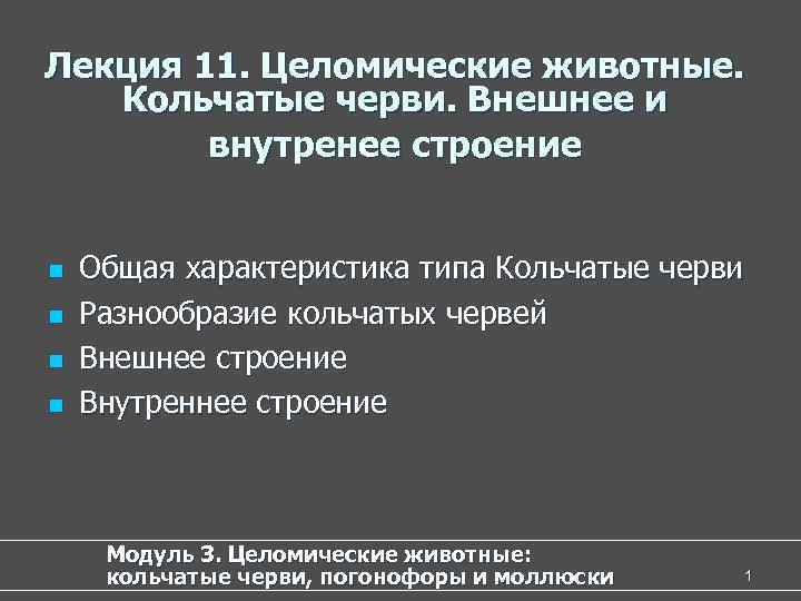 Лекция 11. Целомические животные. Кольчатые черви. Внешнее и внутренее строение n Общая характеристика типа