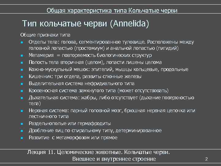  Общая характеристика типа Кольчатые черви Тип кольчатые черви (Annelida) Общие признаки типа n