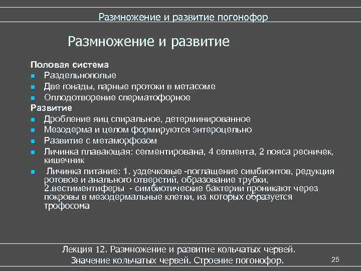  Размножение и развитие погонофор Размножение и развитие Половая система n Раздельнополые n Две