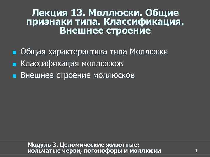  Лекция 13. Моллюски. Общие признаки типа. Классификация.   Внешнее строение n 