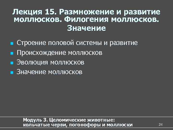 Лекция 15. Размножение и развитие моллюсков. Филогения моллюсков.    Значение n 