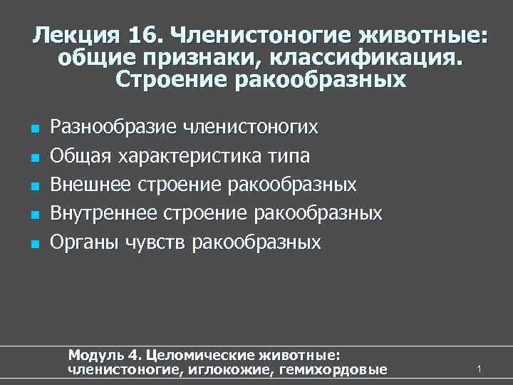 Лекция 16. Членистоногие животные: общие признаки, классификация. Строение ракообразных n Разнообразие членистоногих n Общая