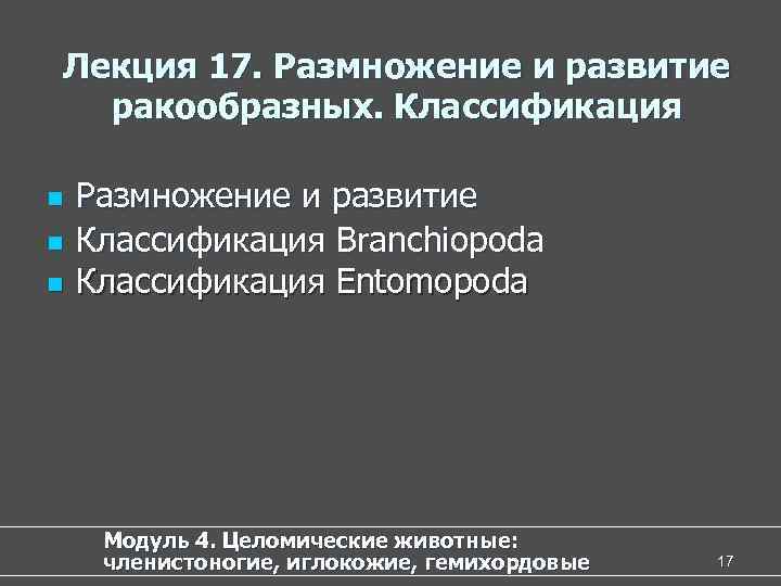 Лекция 17. Размножение и развитие ракообразных. Классификация n Размножение и развитие n Классификация Branchiopoda