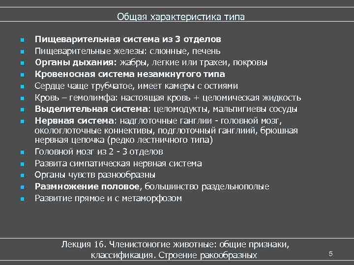  Общая характеристика типа n Пищеварительная система из 3 отделов n Пищеварительные железы: слюнные,