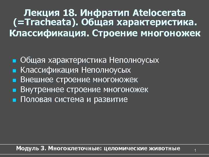  Лекция 18. Инфратип Atelocerata (=Tracheata). Общая характеристика. Классификация. Строение многоножек n Общая характеристика