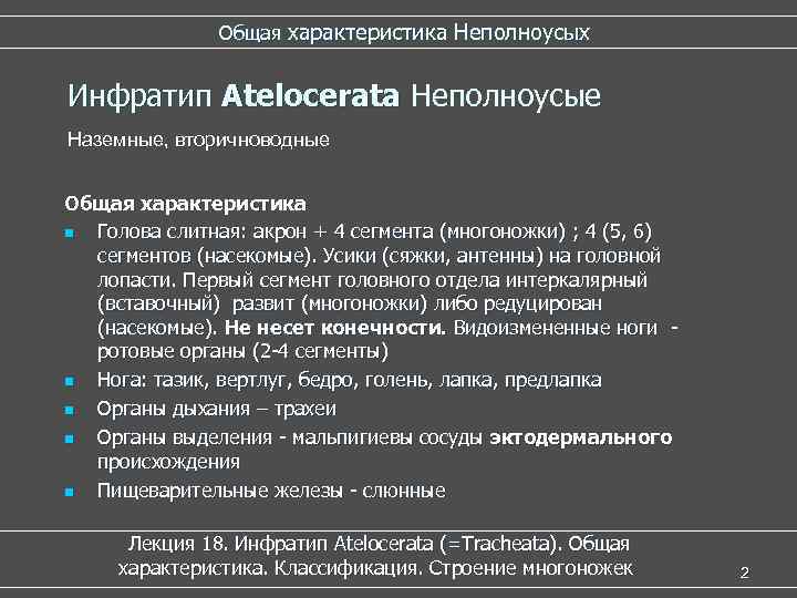  Общая характеристика Неполноусых Инфратип Atelocerata Неполноусые Atelocerata Наземные, вторичноводные Общая характеристика n Голова