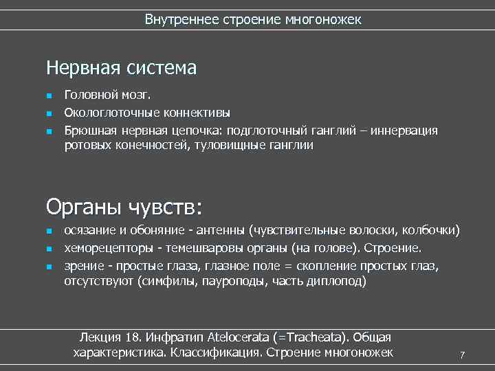  Внутреннее строение многоножек Нервная система n Головной мозг. n Окологлоточные коннективы n Брюшная