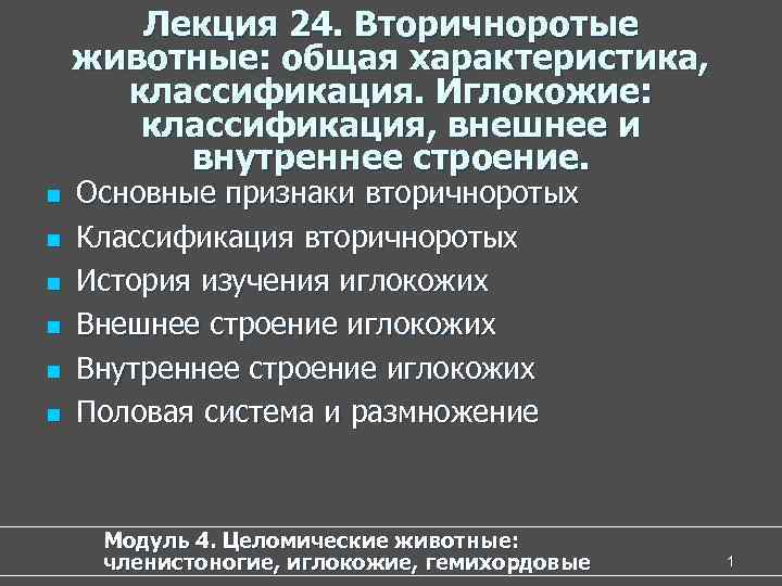   Лекция 24. Вторичноротые животные: общая характеристика,  классификация. Иглокожие:   классификация,