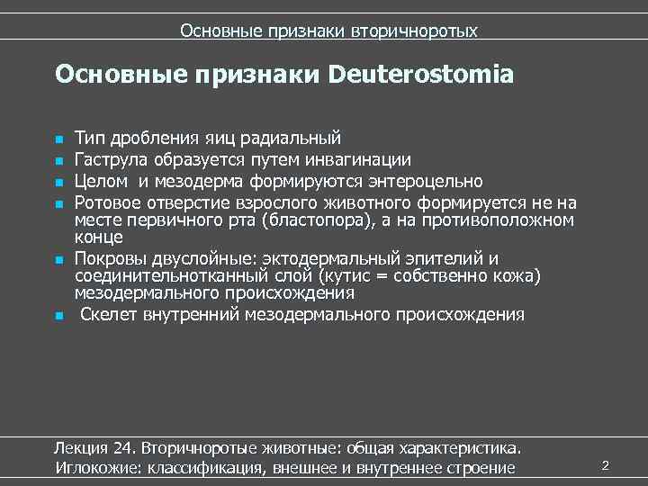     Основные признаки вторичноротых Основные признаки Deuterostomia n  Тип дробления