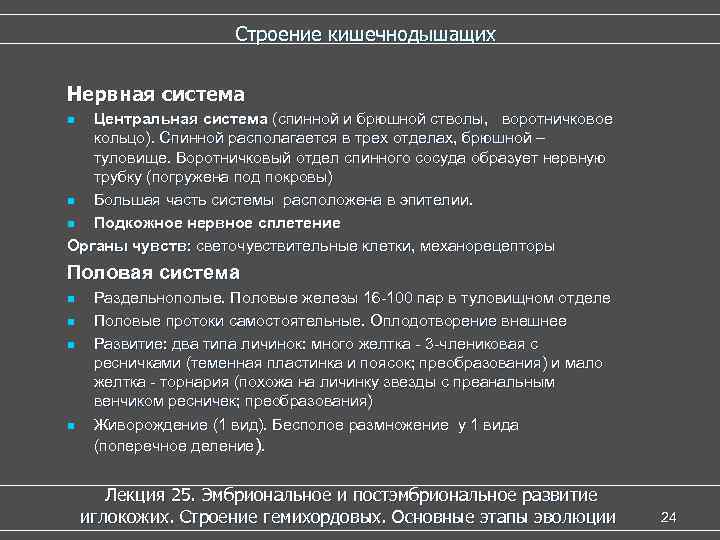      Строение кишечнодышащих Нервная система n Центральная система (спинной и