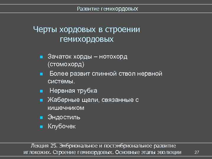     Развитие гемихордовых  Черты хордовых в строении   гемихордовых