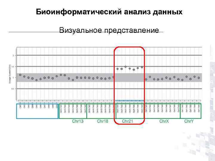 Биоинформатический анализ данных  Визуальное представление 