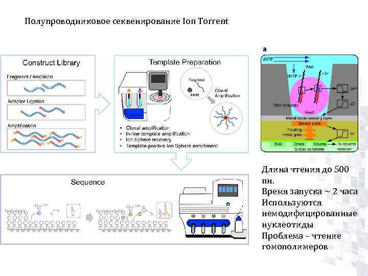 Секвенирование москва. Полупроводниковое секвенирование. Ионное полупроводниковое секвенирование. Молекулярно-генетический метод и секвенирование.