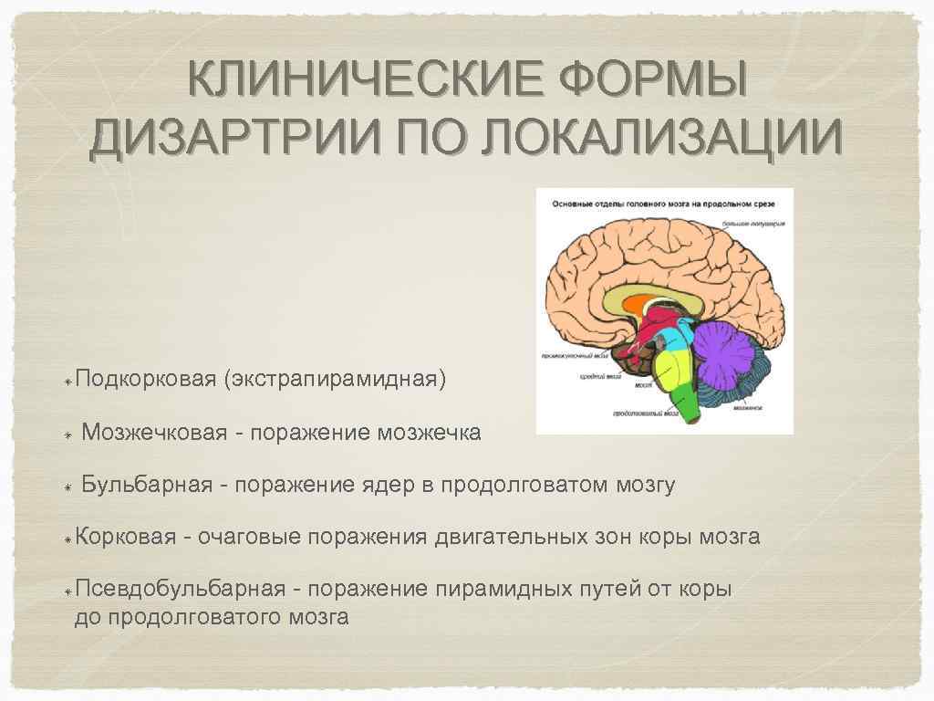  КЛИНИЧЕСКИЕ ФОРМЫ ДИЗАРТРИИ ПО ЛОКАЛИЗАЦИИ Подкорковая (экстрапирамидная) Мозжечковая поражение мозжечка Бульбарная поражение ядер