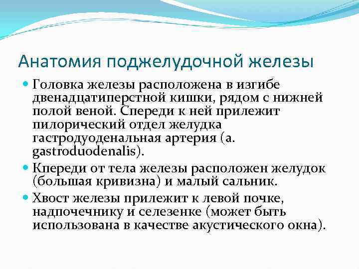 Анатомия поджелудочной железы Головка железы расположена в изгибе двенадцатиперстной кишки, рядом с нижней полой