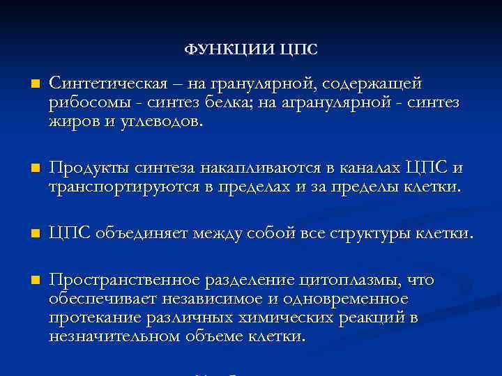  ФУНКЦИИ ЦПС n Синтетическая – на гранулярной, содержащей рибосомы - синтез белка; на