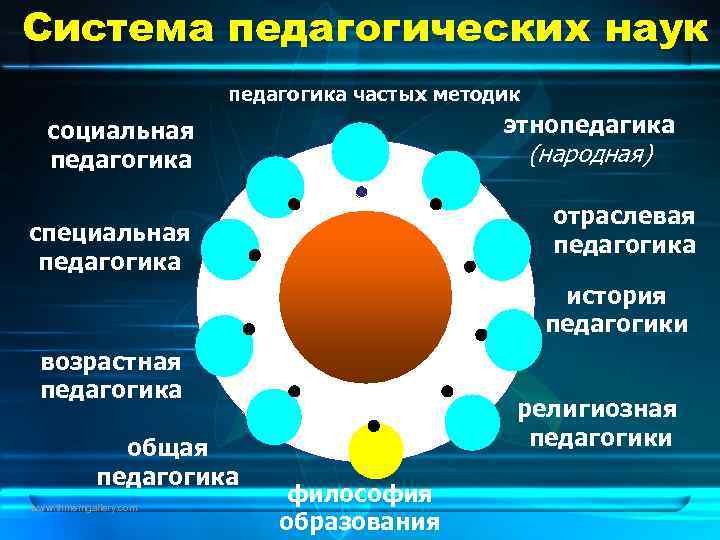 Система педагогических наук    педагогика частых методик  социальная   