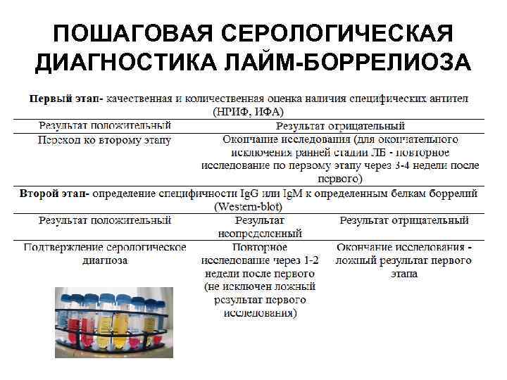 ЛЕЧЕНИЕ ХРОНИЧЕСКОЙ ФОРМЫ ЛБ • Цефтриаксон назначается по 1, ЛЕЧЕНИЕ ХРОНИЧЕСКОЙ ФОРМЫ ЛБ • Цефтриаксон назначается по 1,