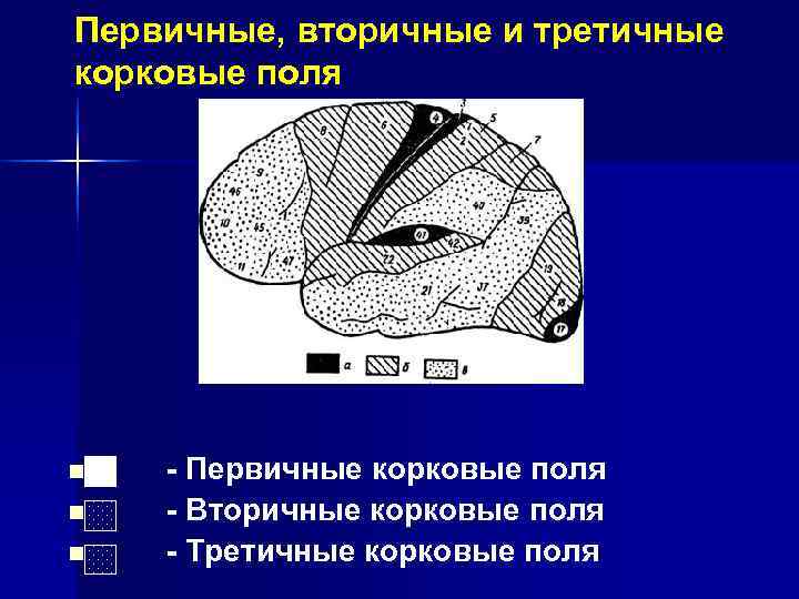 Первичные вторичные третичные нарушения