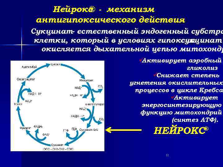   Нейрокс - механизм  ® антигипоксического действия Сукцинат- естественный эндогенный субстра клетки,